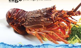 冰冻澳州龙虾的做法 澳洲龙虾的做法